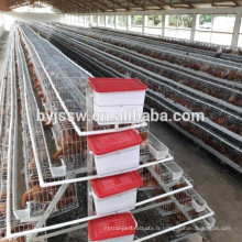 De Bonne Qualité Cages de couche de ferme de poulet à vendre en Namibie